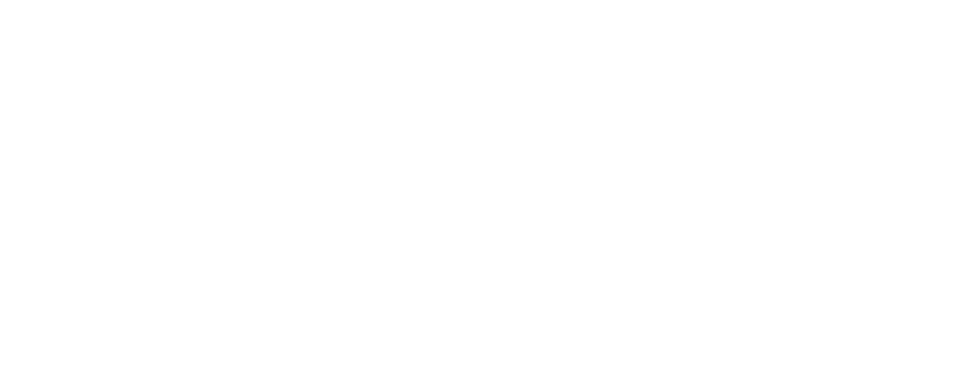 נאמנים מימון ופיננסים